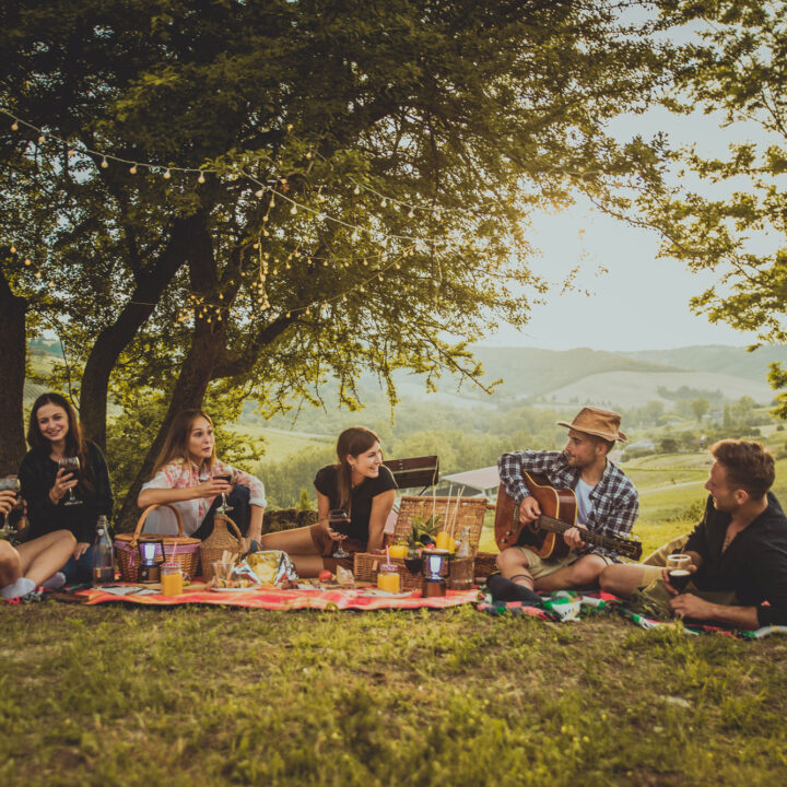 Il picnic secondo Effettocavada